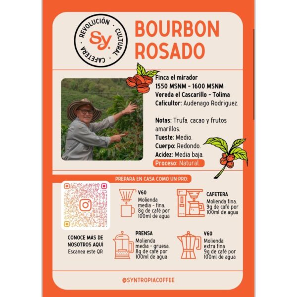 Café Especial Bourbon Rosado Natural - Syntropia Tabla