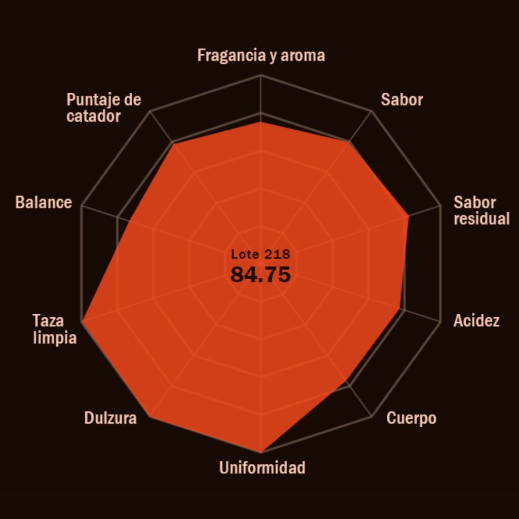 El sistema de puntuación y evaluación cafe (2)