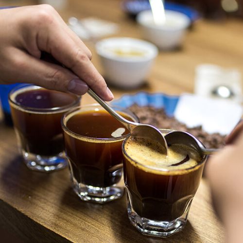 Evaluación sensorial