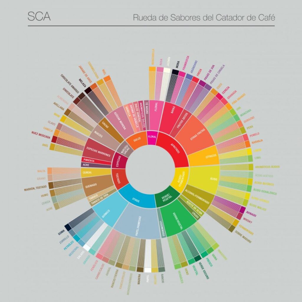 rueda de los sabores de café